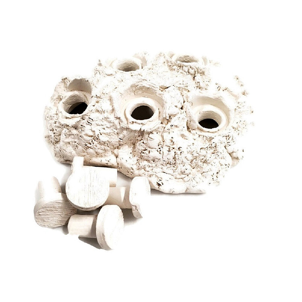 Natural White Ceramic Coral Frag Hub 5.0