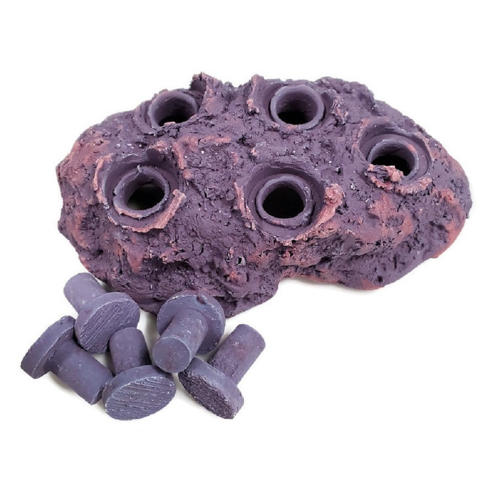 Coralline Purple Ceramic Coral Frag Hub 5.0