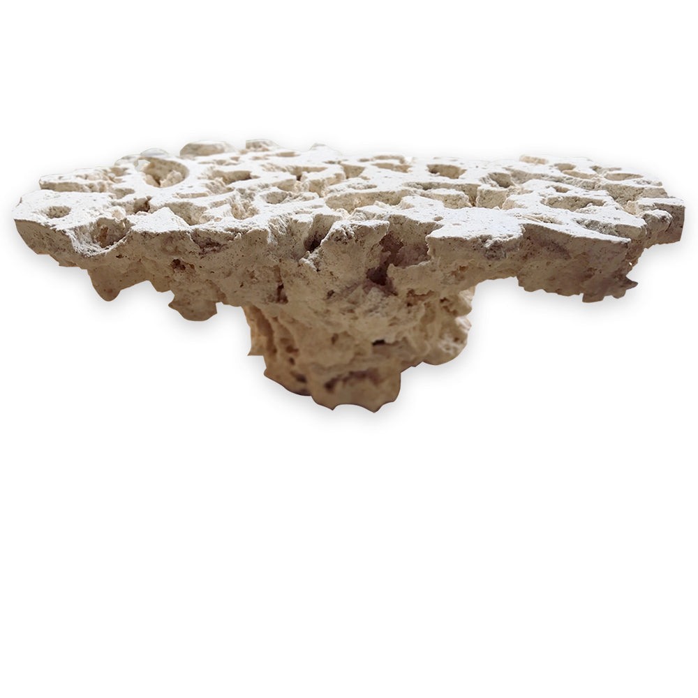 Frag Top Pedestal Aquarium Dry Live Rock