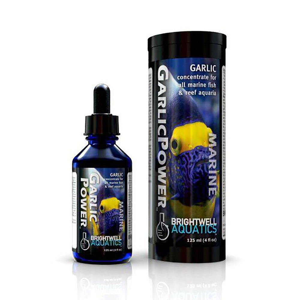 Garlic Power - Concentrated Garlic Supplement