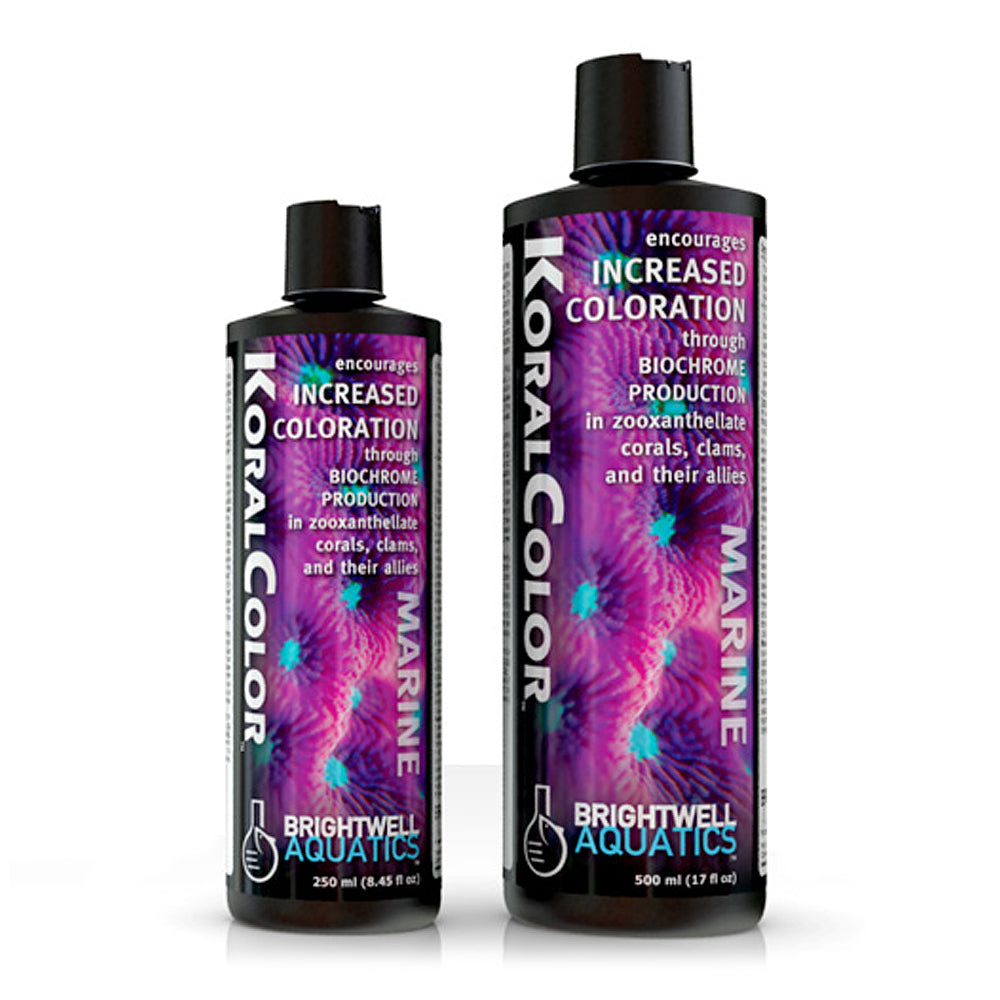 KoralColor - Increased Coloration