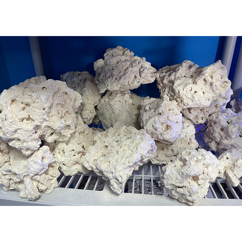 Reef Saver Aquarium Dry Live Rock