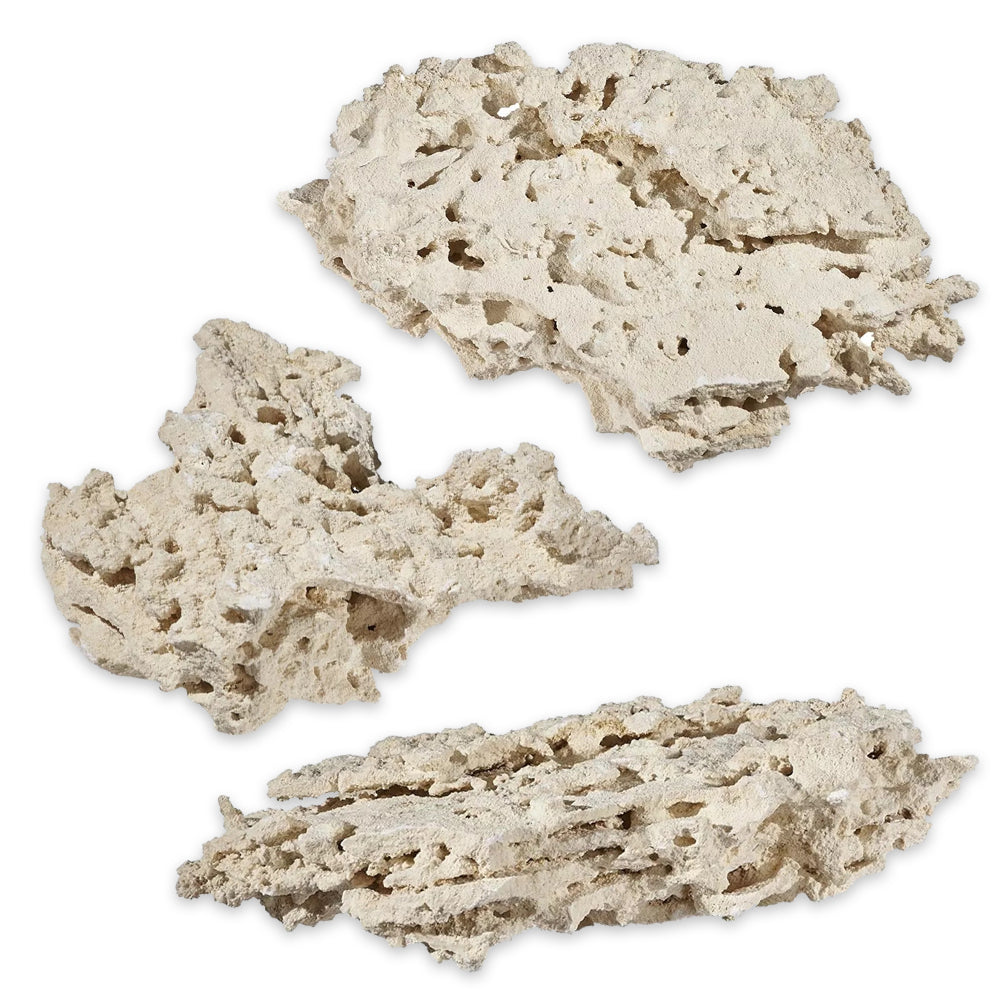 Reef Saver Shelf Aquarium Dry Live Rock