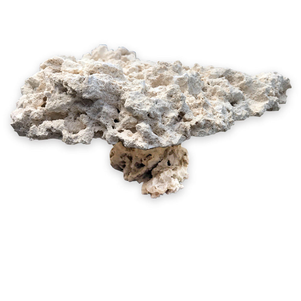 Natural Top Pedestal Aquarium Dry Live Rock