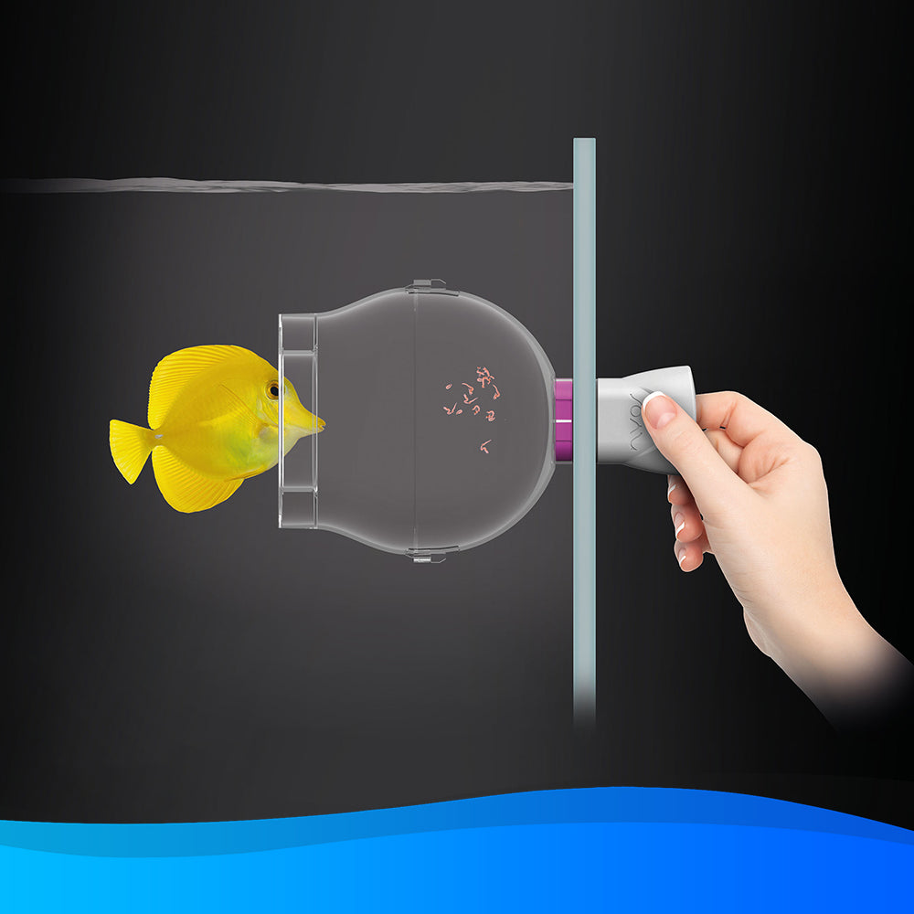 Floating Fish Trap