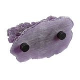 Purple Nano Shelf Magnetic Frag Rack