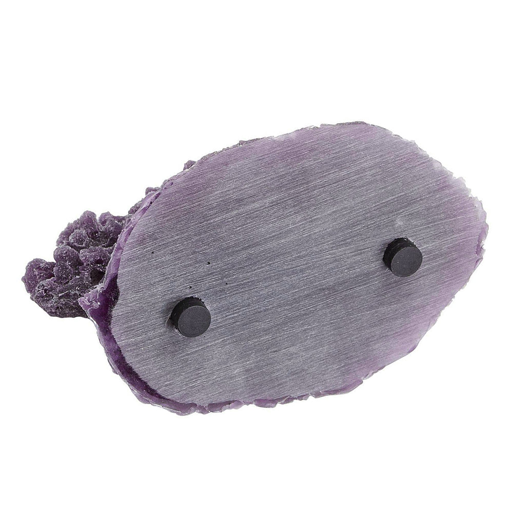 Purple Large Shelf Magnetic Frag Rack