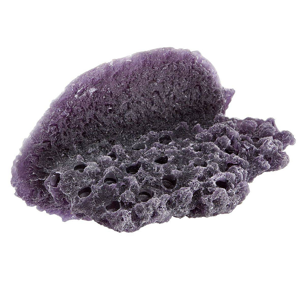 Purple Large Shelf Magnetic Frag Rack
