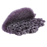 Purple Large Shelf Magnetic Frag Rack