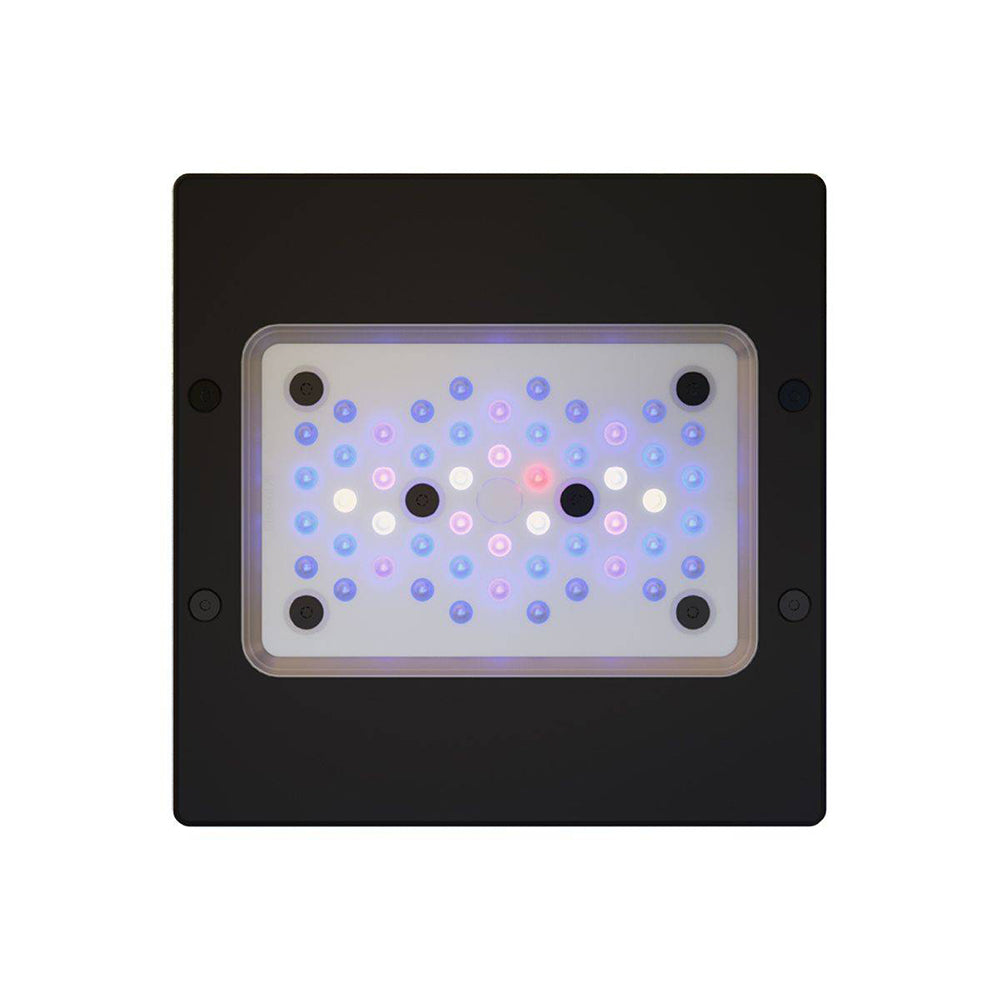 Radion XR15 G6 Blue LED Light