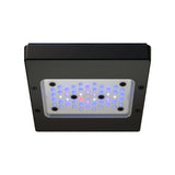 Radion XR15 G6 Blue LED Light