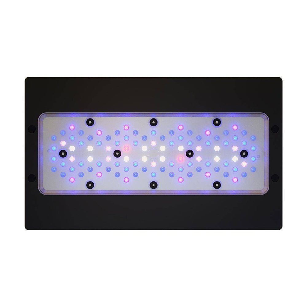 Radion XR30 G6 Blue LED Light