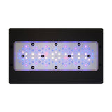 Radion XR30 G6 Blue LED Light