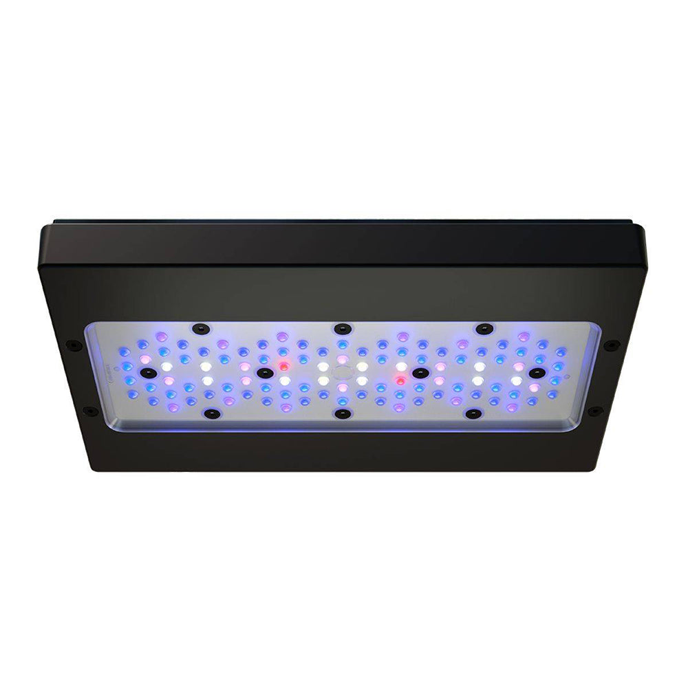 Radion XR30 G6 Blue LED Light