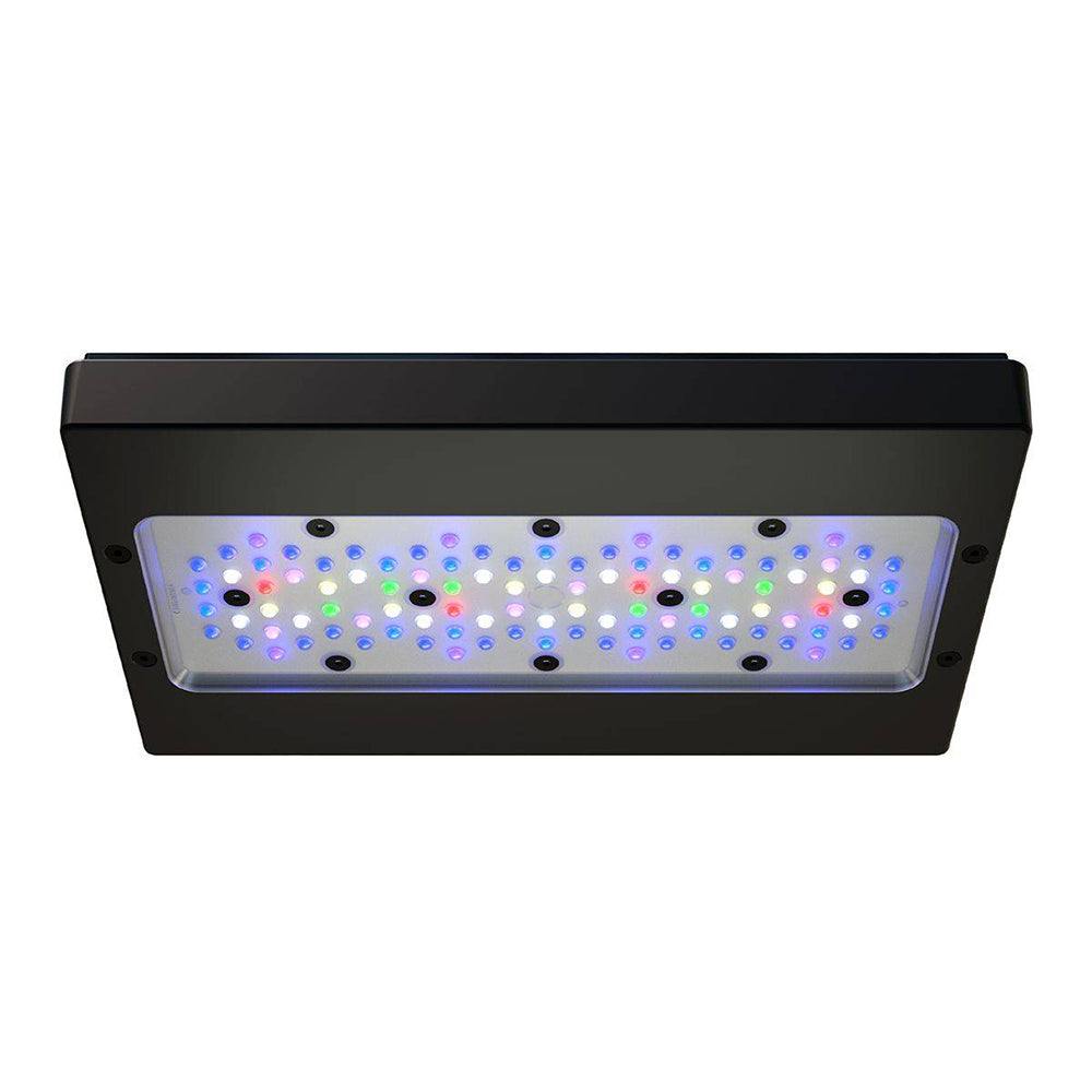気になる対象商品 Light LED Pro G6 XR30 Radion – Goods Reef 海水魚用品