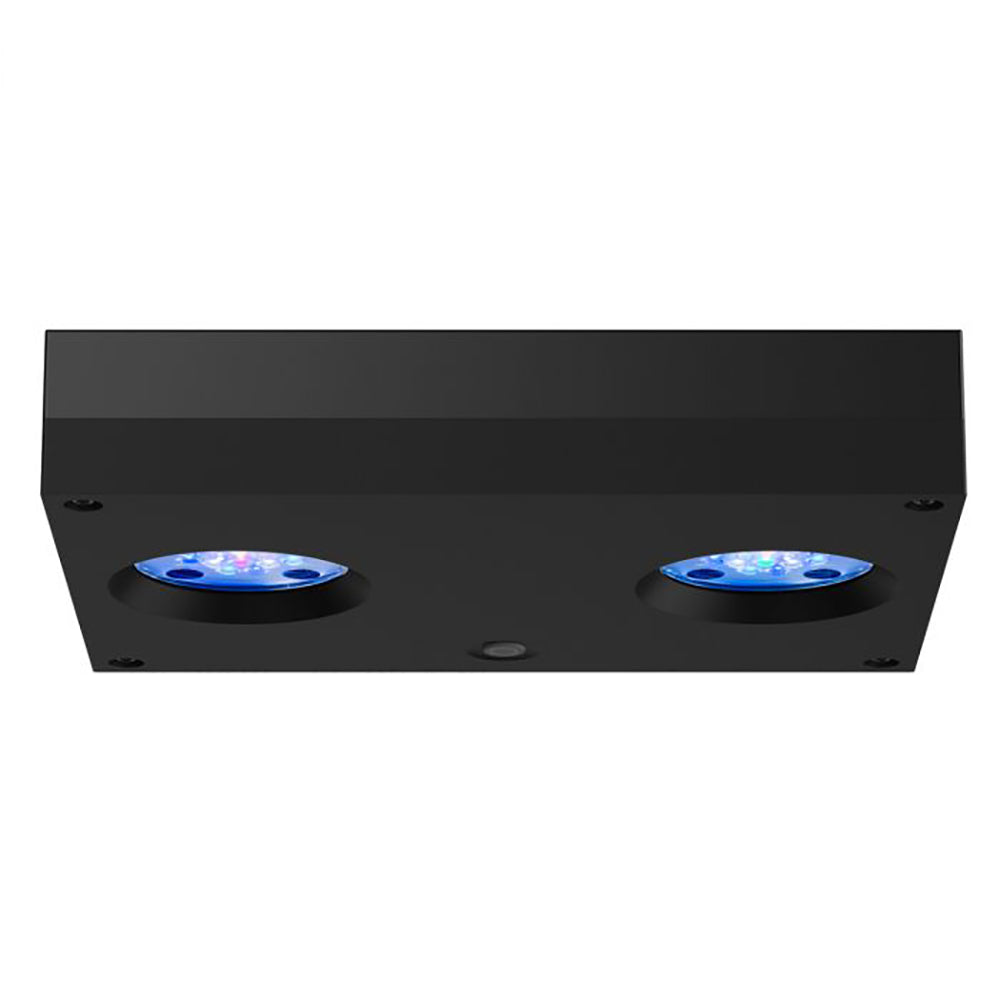Hydra 32 HD LED Reef Light - Black Body