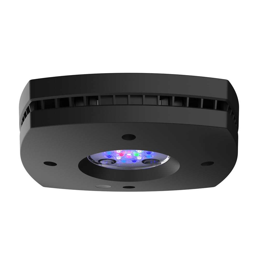 Prime 16 HD LED Reef Light - Black Body