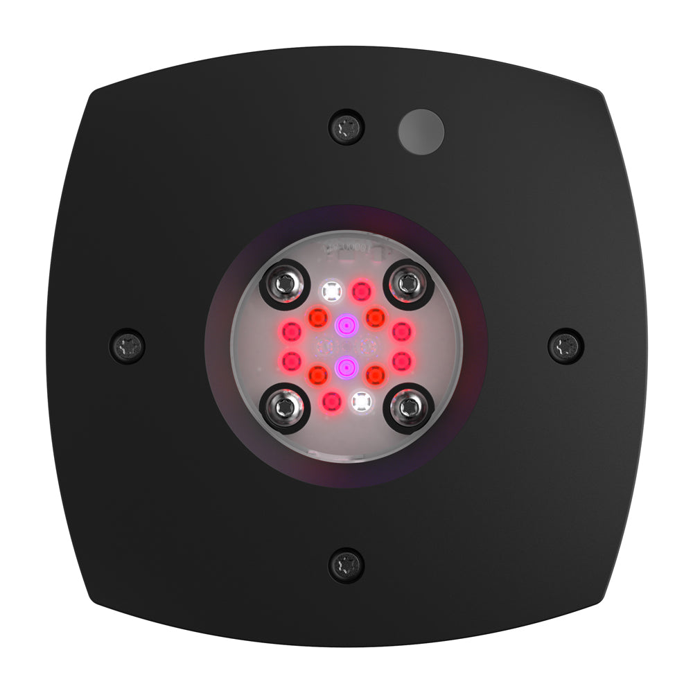 Prime 16 LED Fuge Light - Black Body